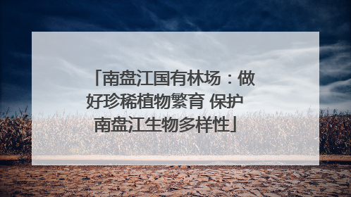 南盘江国有林场：做好珍稀植物繁育 保护南盘江生物多样性