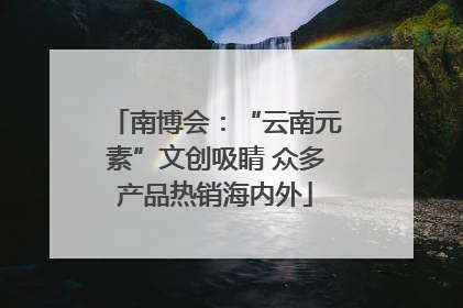 南博会：“云南元素”文创吸睛 众多产品热销海内外