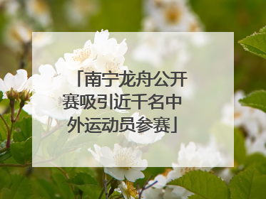 南宁龙舟公开赛吸引近千名中外运动员参赛