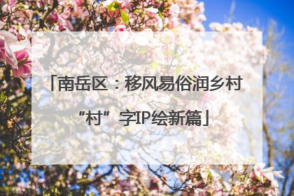 南岳区：移风易俗润乡村 “村”字IP绘新篇