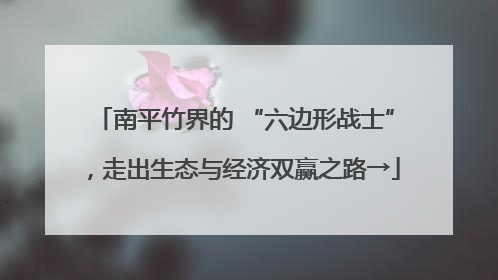 南平竹界的 “六边形战士”，走出生态与经济双赢之路→