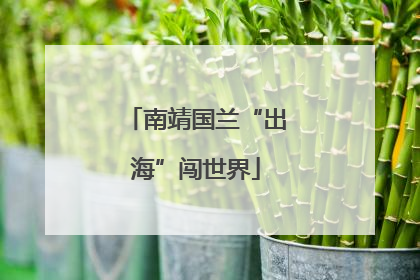 南靖国兰“出海”闯世界