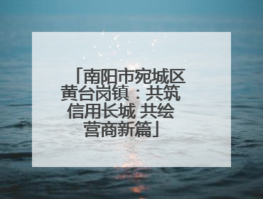 南阳市宛城区黄台岗镇：共筑信用长城 共绘营商新篇