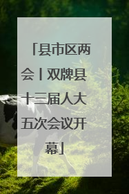 县市区两会丨双牌县十三届人大五次会议开幕