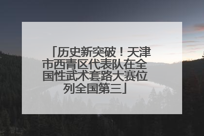 历史新突破！天津市西青区代表队在全国性武术套路大赛位列全国第三