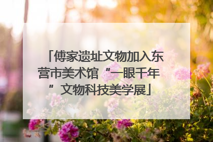 傅家遗址文物加入东营市美术馆“一眼千年”文物科技美学展