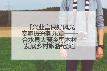 兴业富民好风光 奏响振兴新乐章——合水县太莪乡黑木村发展乡村旅游纪实