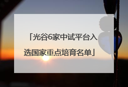 光谷6家中试平台入选国家重点培育名单