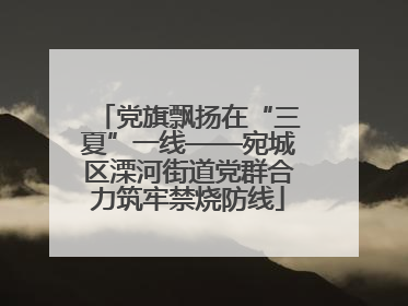 党旗飘扬在“三夏”一线——宛城区溧河街道党群合力筑牢禁烧防线