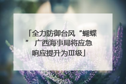 全力防御台风“蝴蝶” 广西海事局将应急响应提升为Ⅲ级