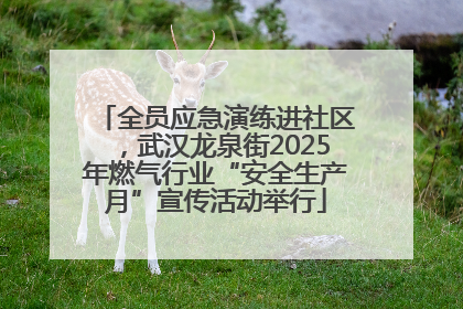 全员应急演练进社区，武汉龙泉街2025年燃气行业“安全生产月”宣传活动举行