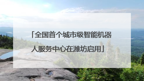 全国首个城市级智能机器人服务中心在潍坊启用