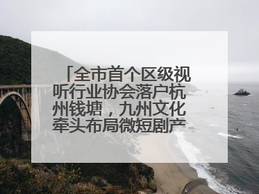 全市首个区级视听行业协会落户杭州钱塘，九州文化牵头布局微短剧产业高地