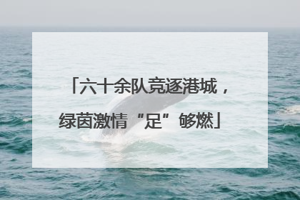 六十余队竞逐港城，绿茵激情“足”够燃