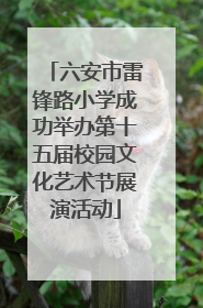 六安市雷锋路小学成功举办第十五届校园文化艺术节展演活动