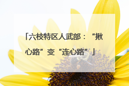 六枝特区人武部：“揪心路”变“连心路”