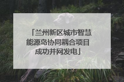 兰州新区城市智慧能源岛协同耦合项目成功并网发电