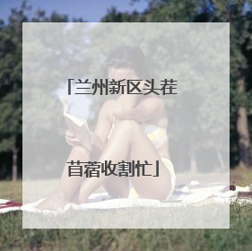 兰州新区头茬苜蓿收割忙