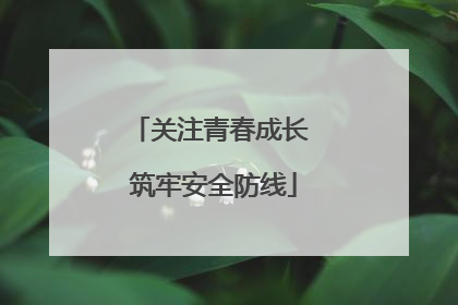 关注青春成长 筑牢安全防线