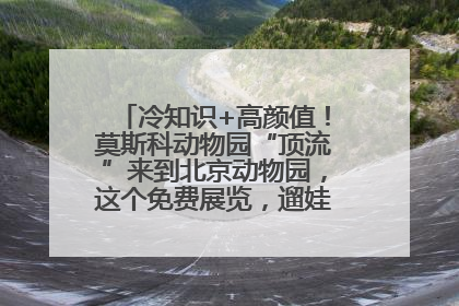 冷知识+高颜值！莫斯科动物园“顶流”来到北京动物园，这个免费展览，遛娃拍照两不误！