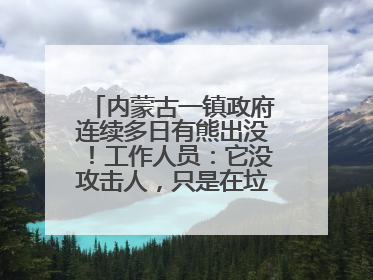 内蒙古一镇政府连续多日有熊出没！工作人员：它没攻击人，只是在垃圾桶翻找食物