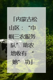 内蒙古松山区：“巾帼三农服务队” 助农增收有 “她” 功