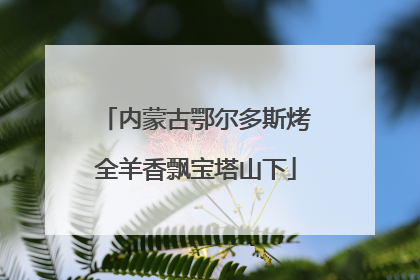 内蒙古鄂尔多斯烤全羊香飘宝塔山下