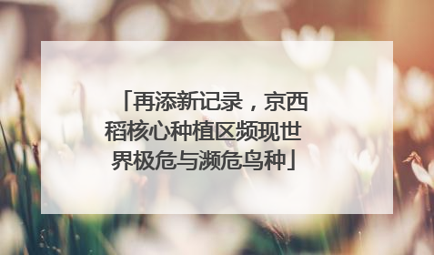 再添新记录，京西稻核心种植区频现世界极危与濒危鸟种