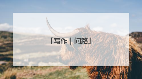 写作｜问路