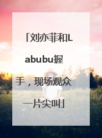 刘亦菲和Labubu握手，现场观众一片尖叫