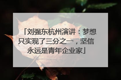 刘强东杭州演讲：梦想只实现了三分之一，坚信永远是青年企业家