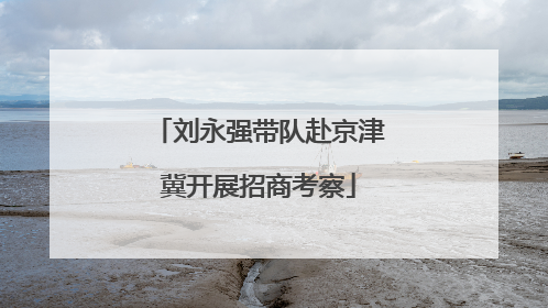 刘永强带队赴京津冀开展招商考察