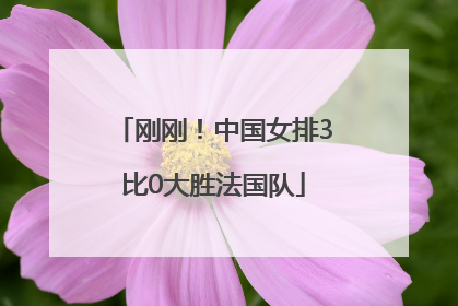 刚刚！中国女排3比0大胜法国队