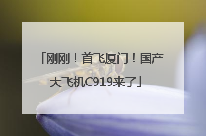 刚刚！首飞厦门！国产大飞机C919来了