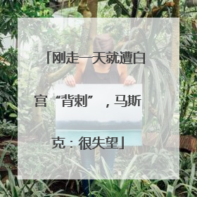 刚走一天就遭白宫“背刺”，马斯克：很失望