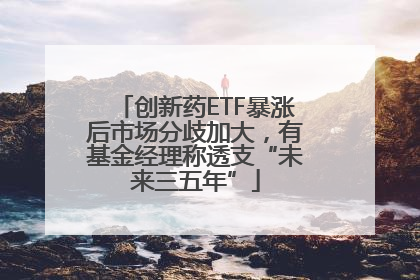 创新药ETF暴涨后市场分歧加大，有基金经理称透支“未来三五年”