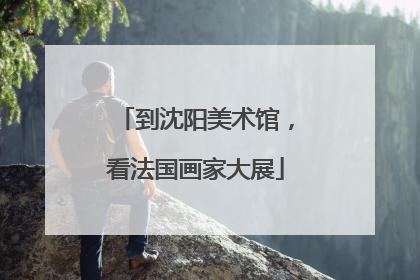 到沈阳美术馆，看法国画家大展