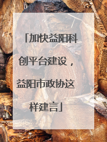 加快益阳科创平台建设，益阳市政协这样建言