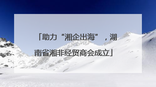 助力“湘企出海”，湖南省湘非经贸商会成立