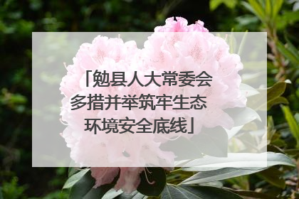 勉县人大常委会多措并举筑牢生态环境安全底线