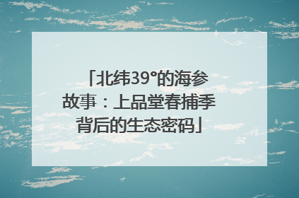 北纬39°的海参故事：上品堂春捕季背后的生态密码