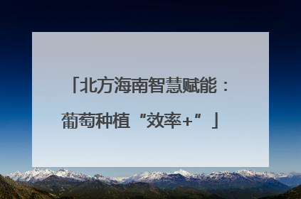 北方海南智慧赋能：葡萄种植“效率+”