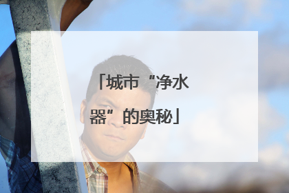 城市“净水器”的奥秘
