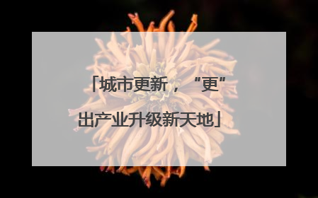 城市更新，“更”出产业升级新天地