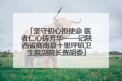 坚守初心担使命 医者仁心铸芳华——记陕西省商南县十里坪镇卫生院副院长贾胡委