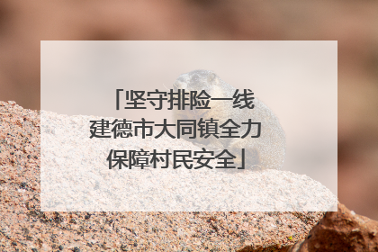 坚守排险一线 建德市大同镇全力保障村民安全