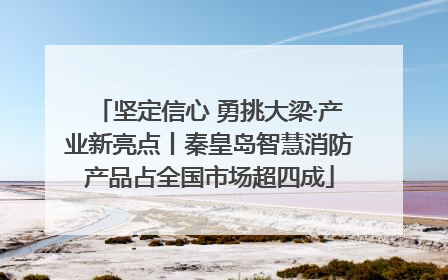 坚定信心 勇挑大梁·产业新亮点丨秦皇岛智慧消防产品占全国市场超四成