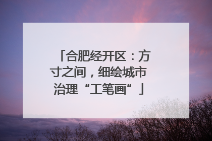 合肥经开区：方寸之间，细绘城市治理“工笔画”