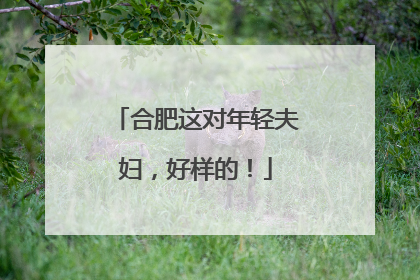 合肥这对年轻夫妇，好样的！