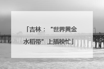 吉林：“世界黄金水稻带”上插秧忙